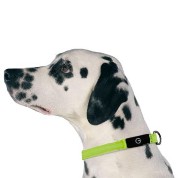swisspet LED Leuchthalsband gelb, Gr. S