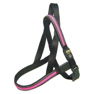 swisspet Leuchtgeschirr Fluo L pink 25mm