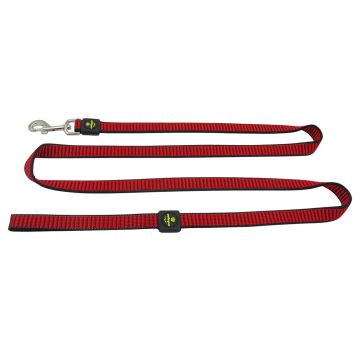 SP Cityleine City Dog  20mm/180cm  rot