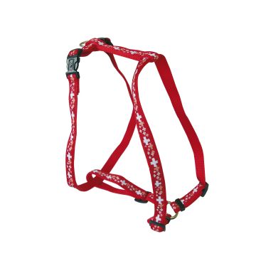 SwissLine Geschirr 25mm / 61-102cm