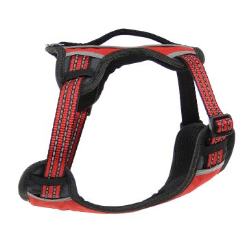 swisspet Sportgeschirr Bruce, XS rot