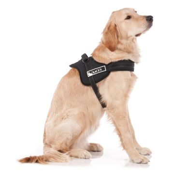 swisspet Hundegeschirr Dog-S.W.A.T, XLsw