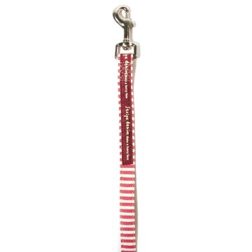 TrendLine Stripe-Line 20 Führleine, rot
