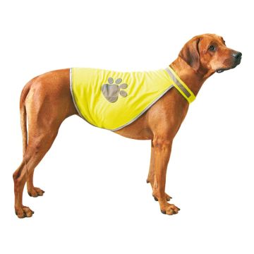 Safety-Dog Sicherheitsweste  Gr. L