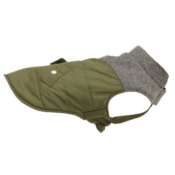 TrendLine Hundemantel Oban XL, grün