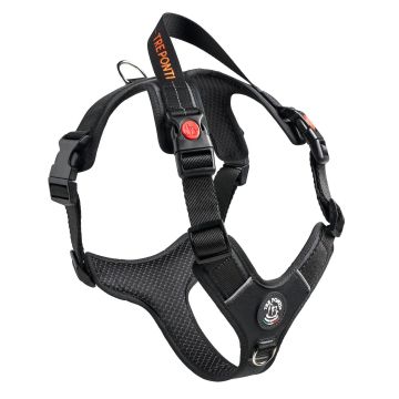 TrePonti Geschirr Harmonia Black XL