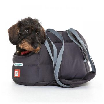 DoctorBark Hundetragetasche grau L