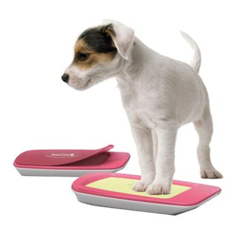 PawCare Small Container 185gr.