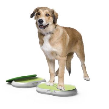 PawCare Large Bone Shape 380gr.