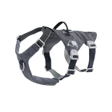 Safeguard Geschirr, 45-60cm blackberry