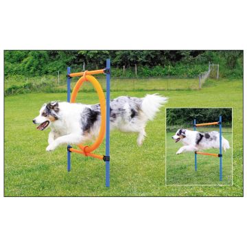 swisspet Agility Sprungring