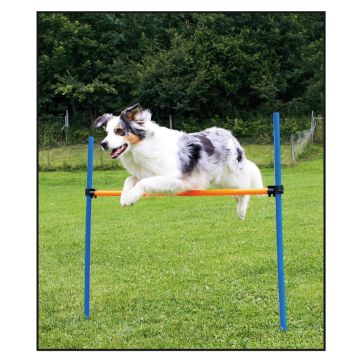 swisspet Agility Hürden Set