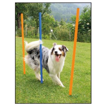 swisspet Agility Slalom Set