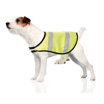 swisspet Nightdog coupé 15cm