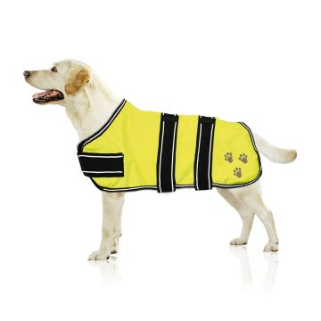swisspet Leuchtmantel Nightdog 70cm
