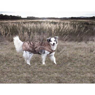 swisspet climaro Regenjacke 55cm, braun