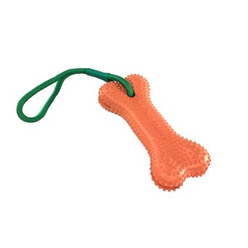 swisspet Hundesp. Training-Bone orange
