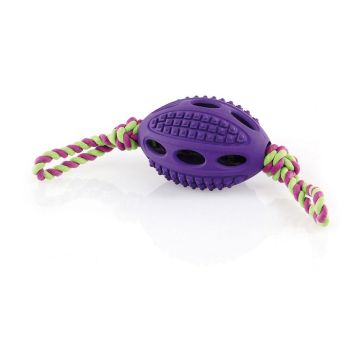 Go Dog Football mit Seil S,L=32cm violet