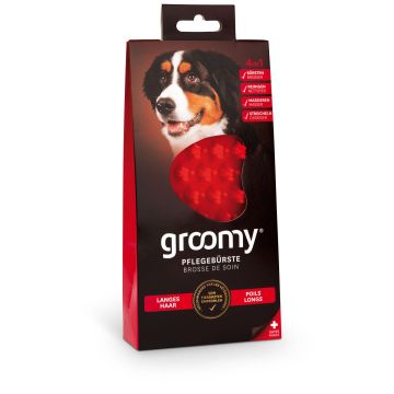 groomy dog - long hair /Langhaar