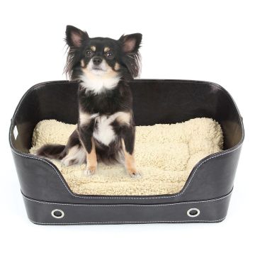 Hunde- & Katzenbett Lounge,beige/schwarz