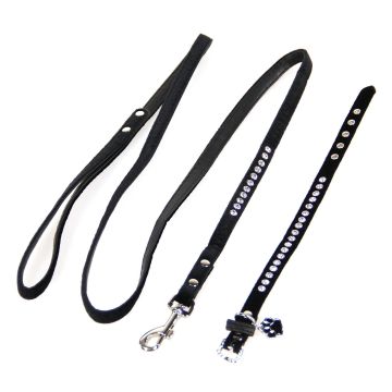 TrendLine Hundehalsband &Leinenset Azure