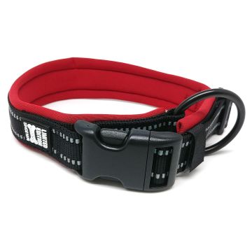 swisspet Halsband Prime S 15mm/300-350m