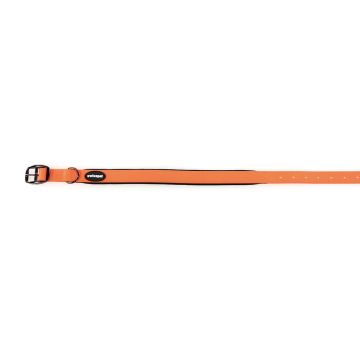 TrendLine Neon Halsband 25mm orange