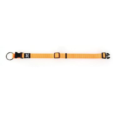 TrendLine ONE Halsband 20mm orange