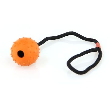 swisspet Spielball Lungo am Seil S