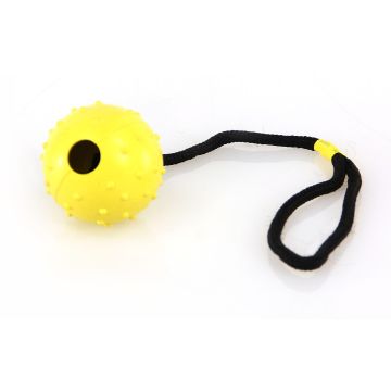 swisspet Spielball Lungo am Seil M