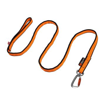 Non-stop Bungee Leash 2m