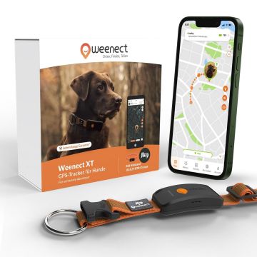 Weenect XT Dog, orange, 8.2x3.5x2.2cm