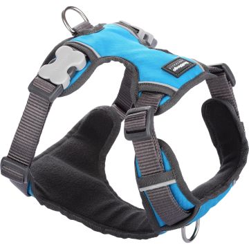 RedDingo Padded Harness turquoise XL