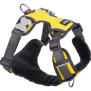 RedDingo Padded Harness yellow XL