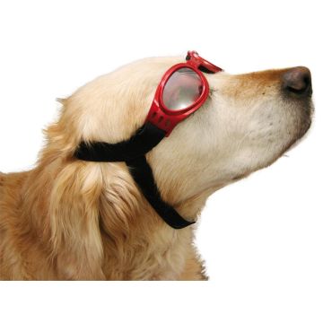 Cabrio Brille,Schneebrille,nicht getönt