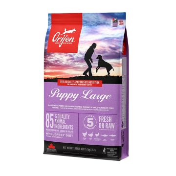 Orijen Dog PUPPY LARGE 11,4Kg