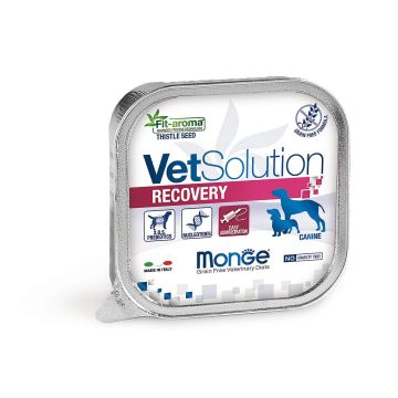 Monge Dog Recovery 150g