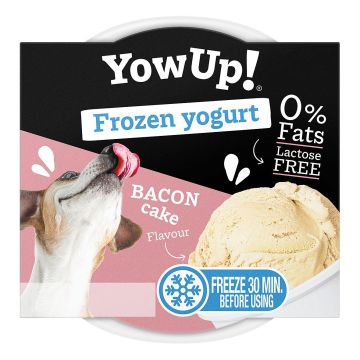 YowUp! Ice Cream Yogurt BACON CAKE 110g