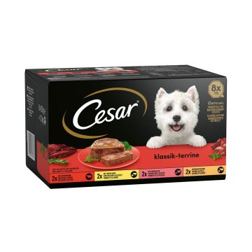 Cesar Klassiker in Terrine 8x150g