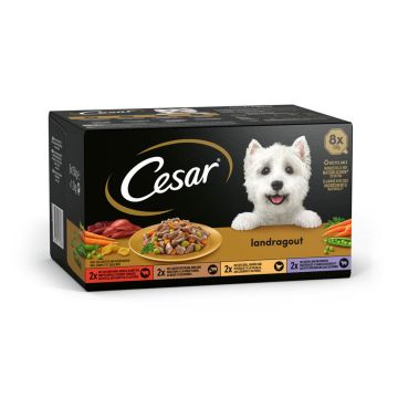 Cesar Landragout in Sauce 8x150g