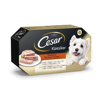 Cesar Sélection 4x150g