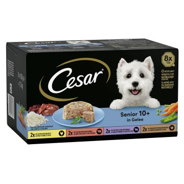 Cesar Senior Multipack 8x150g