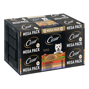 CESAR Landragout 4 Varietäten 24x150g
