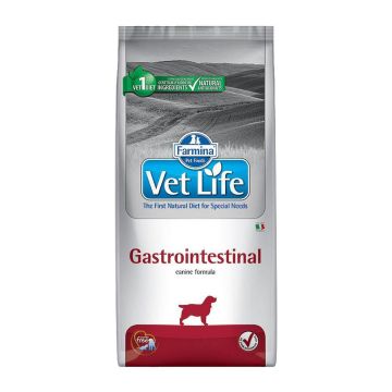 Farmina VET DIET Dog Gastrointestin 2kg