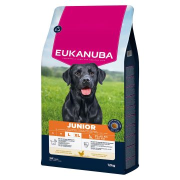 Eukanuba Junior Chicken Large 12kg