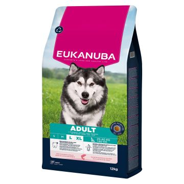 Eukanuba Adult Salmon Large&XL 12kg