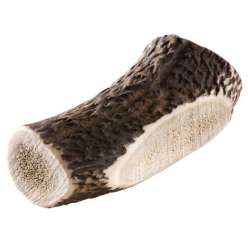 Chewies Rothirsch-Geweihstange L