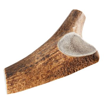 Chewies Rothirsch-Geweihstange XL halb