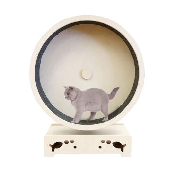 swisspet Katzenrad Rondulo 75 mit Stand