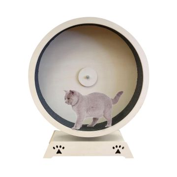 swisspet Katzenrad Rondulo 100 mit Stand